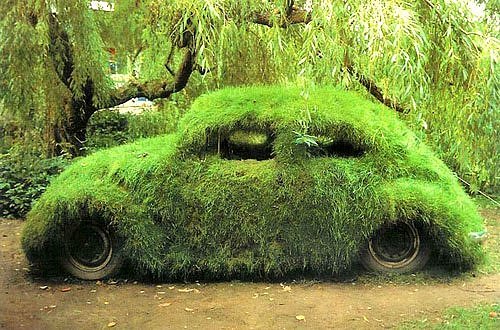 What happened? A VW Beetle sprouts grass.